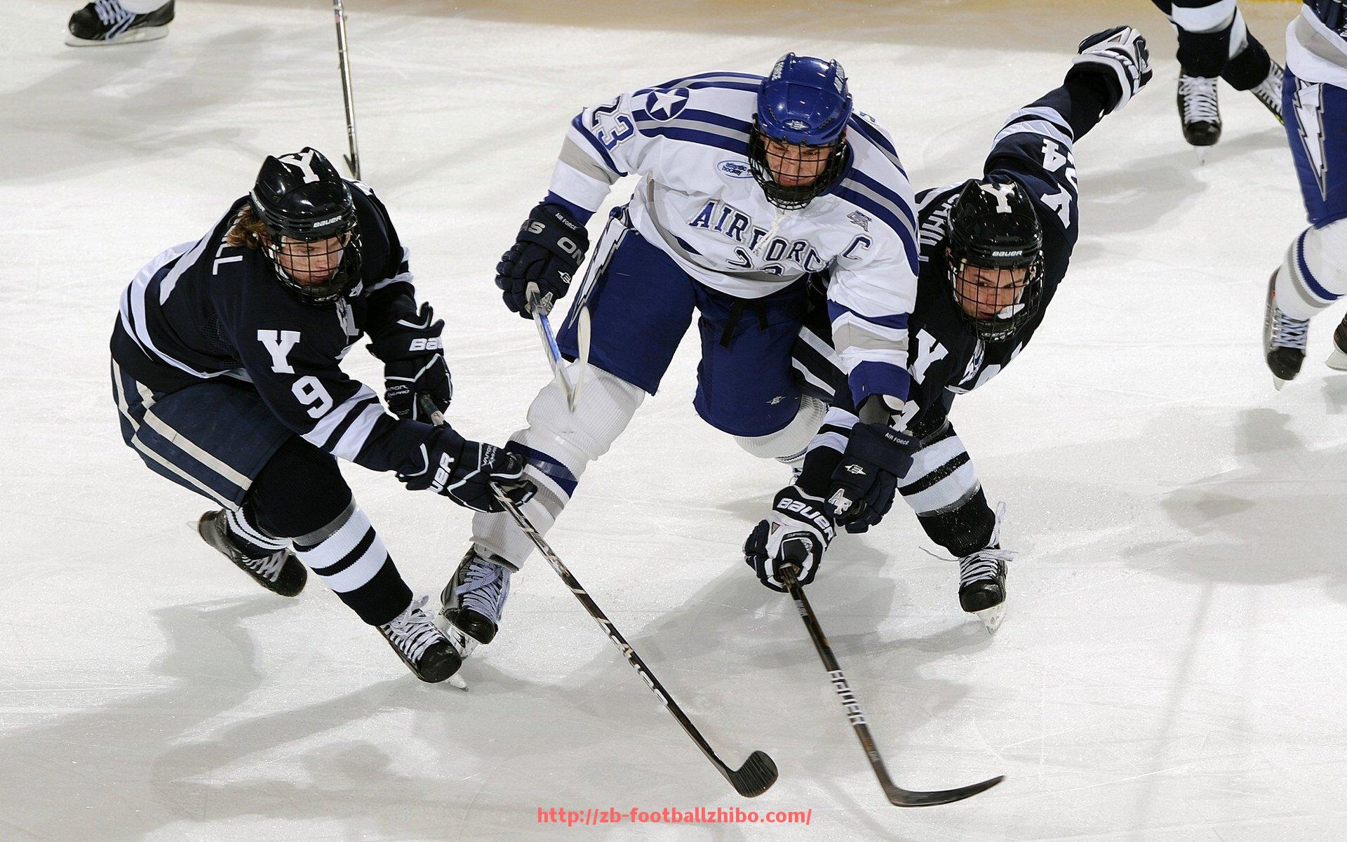 足球直播-台湾健身房配备的健身器材品牌与服务情况